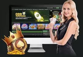 qq444
